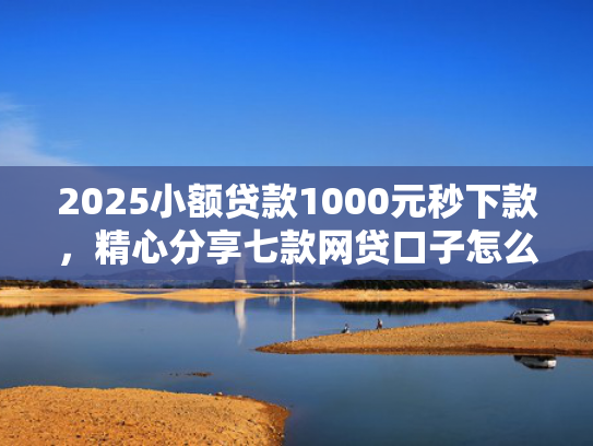 2025小额贷款1000元秒下款，精心分享七款网贷口子怎么填下款高  第1张