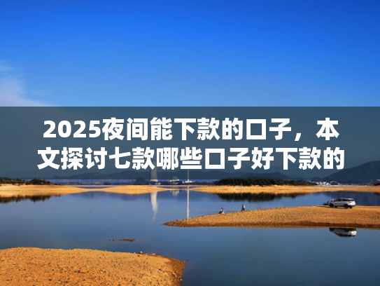 2025夜间能下款的口子，本文探讨七款哪些口子好下款的网贷  第1张