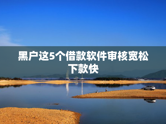 2025年容易下款的口子总结5个大额贷款必下款的
