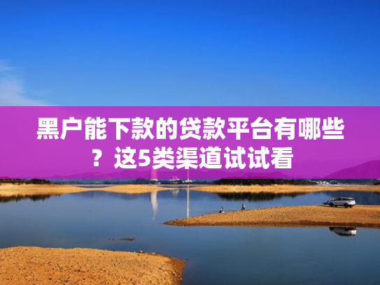 和你我贷一样好下款的口子收集5款贷款平台哪个好下款2025