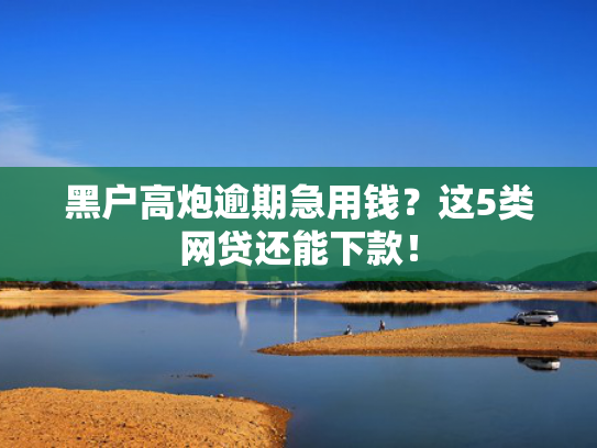 2025秒下款最新口子这5款2025逾期还能下款的口子