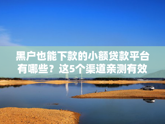 2025好下款的网贷口子总结5个短期贷款的口子