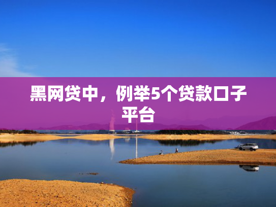 不查征信秒下款的网贷试试看这5个最新放款口子