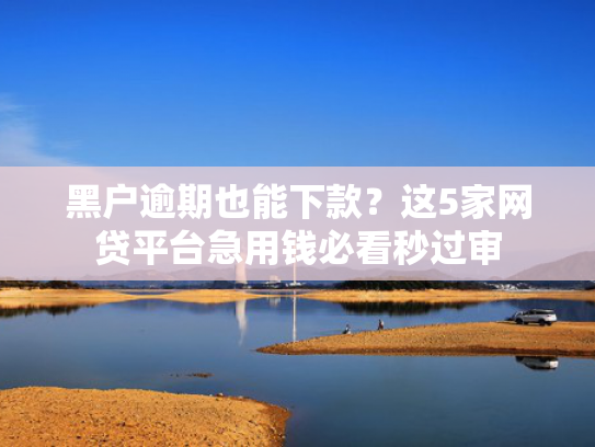 容易下款的小额网贷总结5个无视负债下款5000的口子