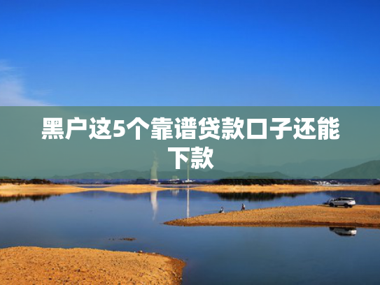 轻松下款的口子这5款无视黑白必下款的网贷口子