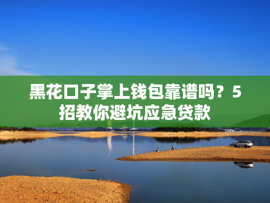 下款快,额度高,好通过的贷款这5款现在还有什么口子可以下款