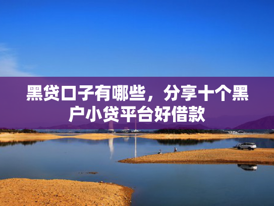 网上贷款下款快可以参考这5个放款黑口子  第1张