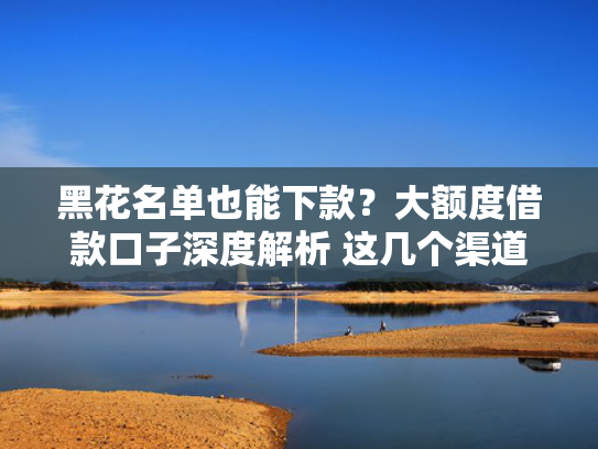 那个网贷好下款总结5个还有什么好下款的口子