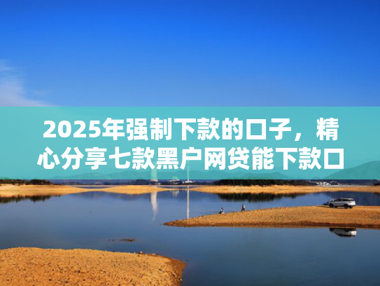 2025年强制下款的口子，精心分享七款黑户网贷能下款口子  第1张