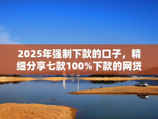 2025年强制下款的口子，精细分享七款100%下款的网贷口子  第1张