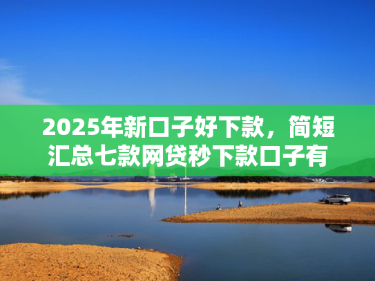 2025年新口子好下款，简短汇总七款网贷秒下款口子有  第1张