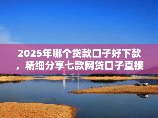 2025年哪个贷款口子好下款，精细分享七款网贷口子直接下款  第1张