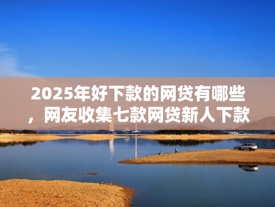 2025年好下款的网贷有哪些，网友收集七款网贷新人下款口子  第1张
