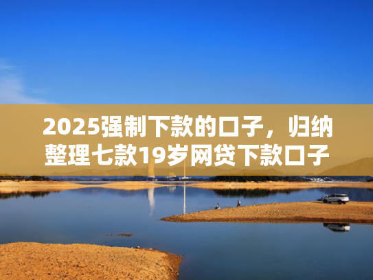 2025强制下款的口子，归纳整理七款19岁网贷下款口子  第1张