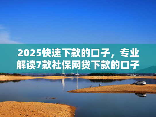 2025快速下款的口子，专业解读7款社保网贷下款的口子  第1张