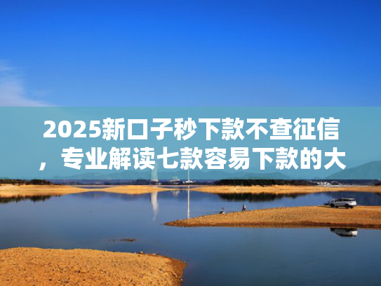 2025新口子秒下款不查征信，专业解读七款容易下款的大额网贷口子  第1张