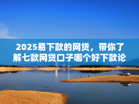 2025易下款的网贷，带你了解七款网贷口子哪个好下款论坛  第1张