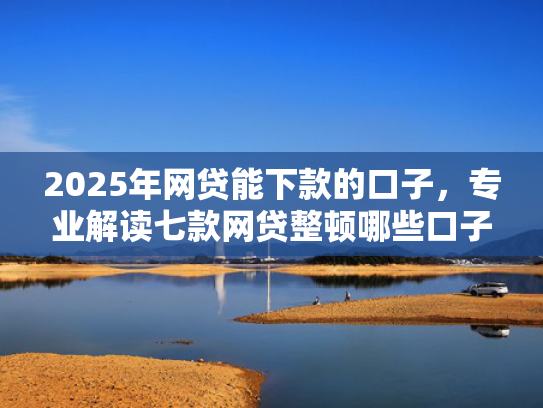 2025年网贷能下款的口子，专业解读七款网贷整顿哪些口子下款  第1张
