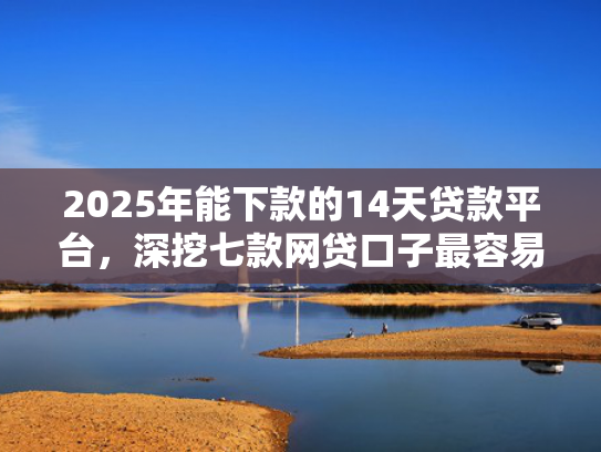 2025年能下款的14天贷款平台，深挖七款网贷口子最容易下款  第1张
