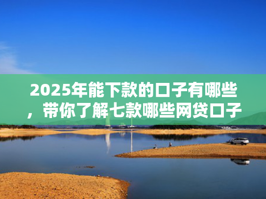 2025年能下款的口子有哪些，带你了解七款哪些网贷口子必下款  第1张