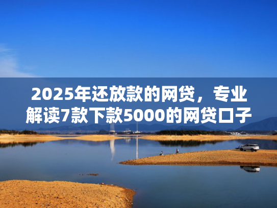 2025年还放款的网贷，专业解读7款下款5000的网贷口子  第1张