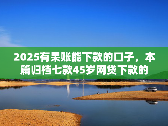 2025有呆账能下款的口子，本篇归档七款45岁网贷下款的口子