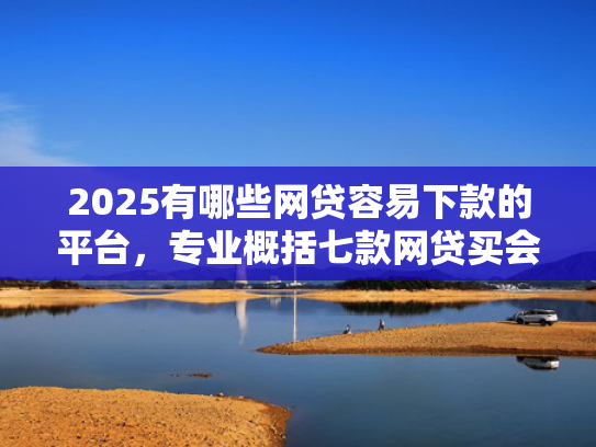 2025有哪些网贷容易下款的平台，专业概括七款网贷买会员必下款口子  第1张