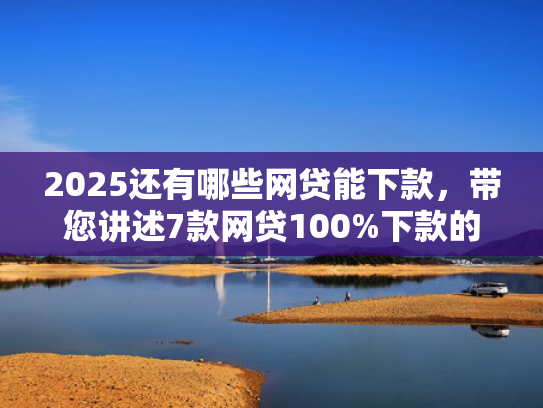 2025还有哪些网贷能下款，带您讲述7款网贷100%下款的口子  第1张