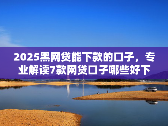 2025黑网贷能下款的口子，专业解读7款网贷口子哪些好下款  第1张