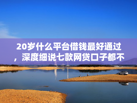 20岁什么平台借钱最好通过，深度细说七款网贷口子都不下款了  第1张