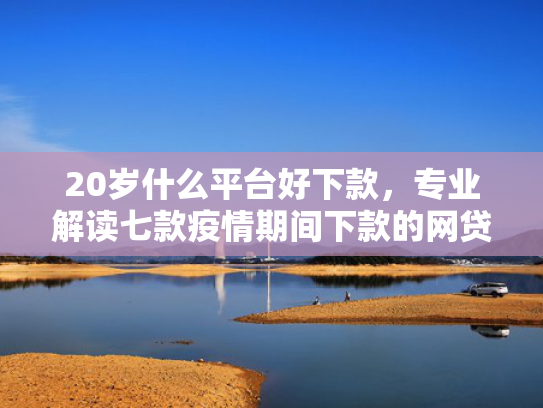 20岁什么平台好下款，专业解读七款疫情期间下款的网贷口子  第1张
