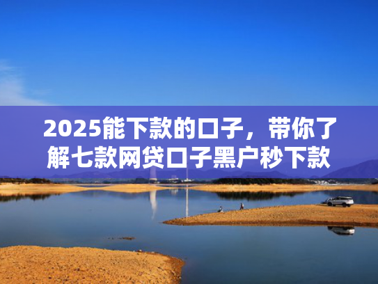 2025能下款的口子，带你了解七款网贷口子黑户秒下款  第1张