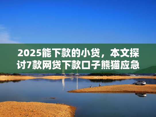 2025能下款的小贷，本文探讨7款网贷下款口子熊猫应急  第1张