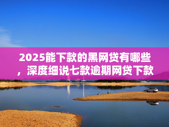 2025能下款的黑网贷有哪些，深度细说七款逾期网贷下款贷款口子  第1张