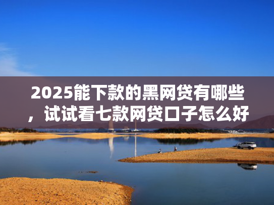 2025能下款的黑网贷有哪些，试试看七款网贷口子怎么好下款  第1张
