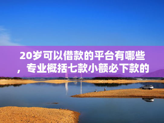 20岁可以借款的平台有哪些，专业概括七款小额必下款的网贷口子  第1张