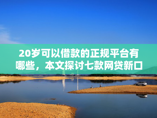 20岁可以借款的正规平台有哪些，本文探讨七款网贷新口子秒下款吗  第1张