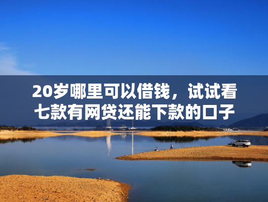 20岁哪里可以借钱，试试看七款有网贷还能下款的口子  第1张