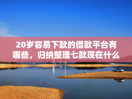 20岁容易下款的借款平台有哪些，归纳整理七款现在什么网贷口子下款快  第1张