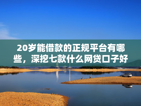 20岁能借款的正规平台有哪些，深挖七款什么网贷口子好下款的  第1张