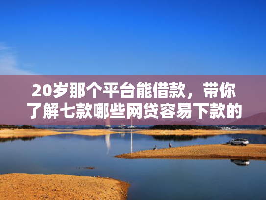 20岁那个平台能借款，带你了解七款哪些网贷容易下款的口子  第1张