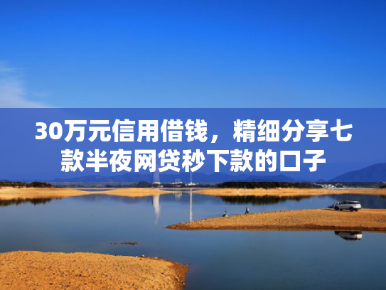 30万元信用借钱，精细分享七款半夜网贷秒下款的口子  第1张