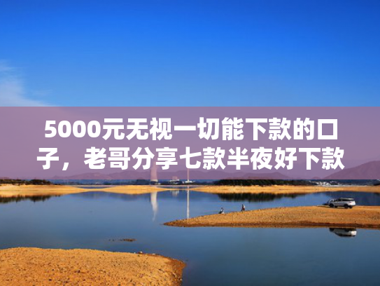 5000元无视一切能下款的口子，老哥分享七款半夜好下款的网贷口子  第1张