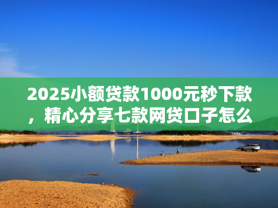 2025小额贷款1000元秒下款，精心分享七款网贷口子怎么填下款高