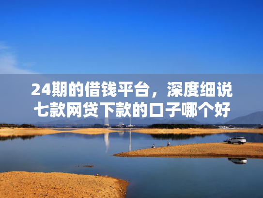 24期的借钱平台，深度细说七款网贷下款的口子哪个好  第1张