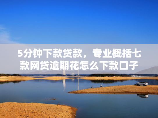5分钟下款贷款，专业概括七款网贷逾期花怎么下款口子