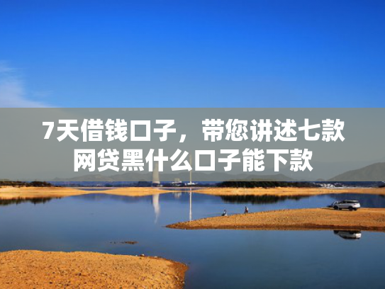 7天借钱口子，带您讲述七款网贷黑什么口子能下款