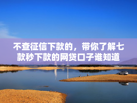 不查征信下款的，带你了解七款秒下款的网贷口子谁知道  第1张