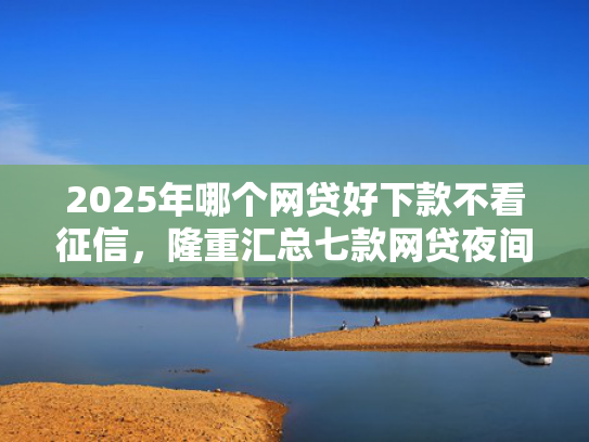 2025年哪个网贷好下款不看征信，隆重汇总七款网贷夜间下款的口子