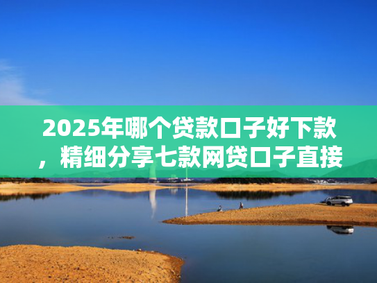 2025年哪个贷款口子好下款，精细分享七款网贷口子直接下款